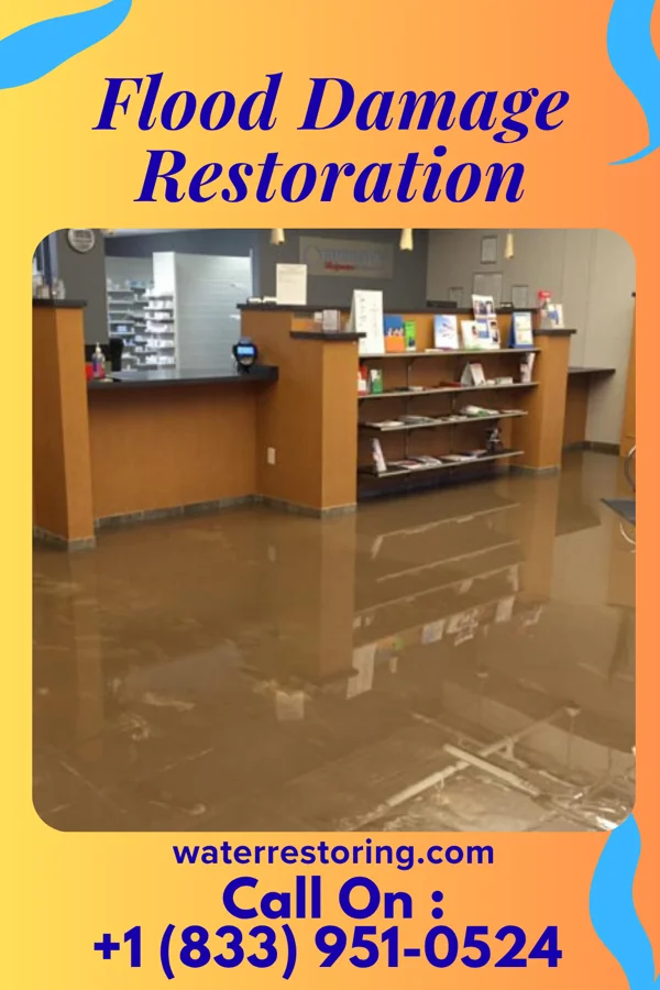 Flood Damage Restoration in Elizabeth, MS