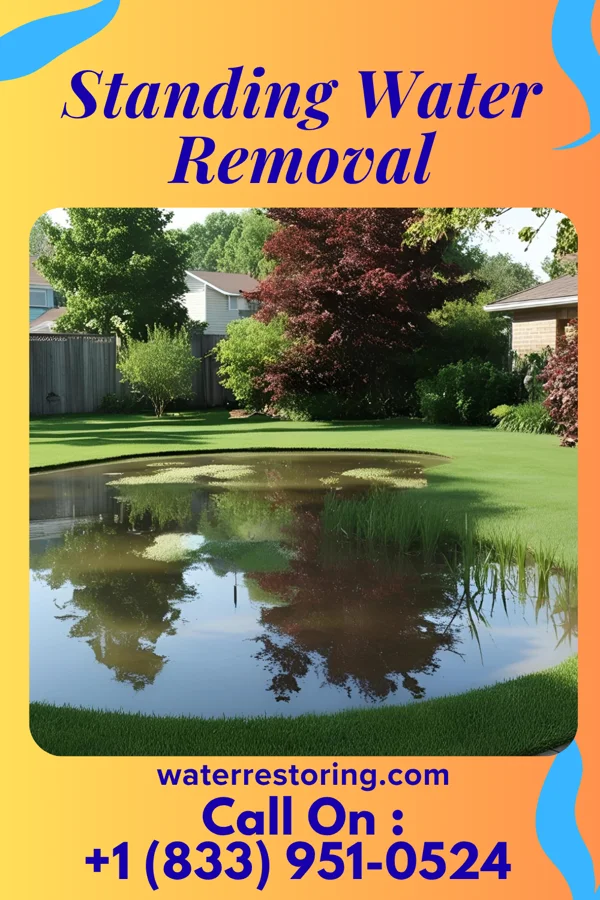 Standing Water Removal in Elizabeth, MS
